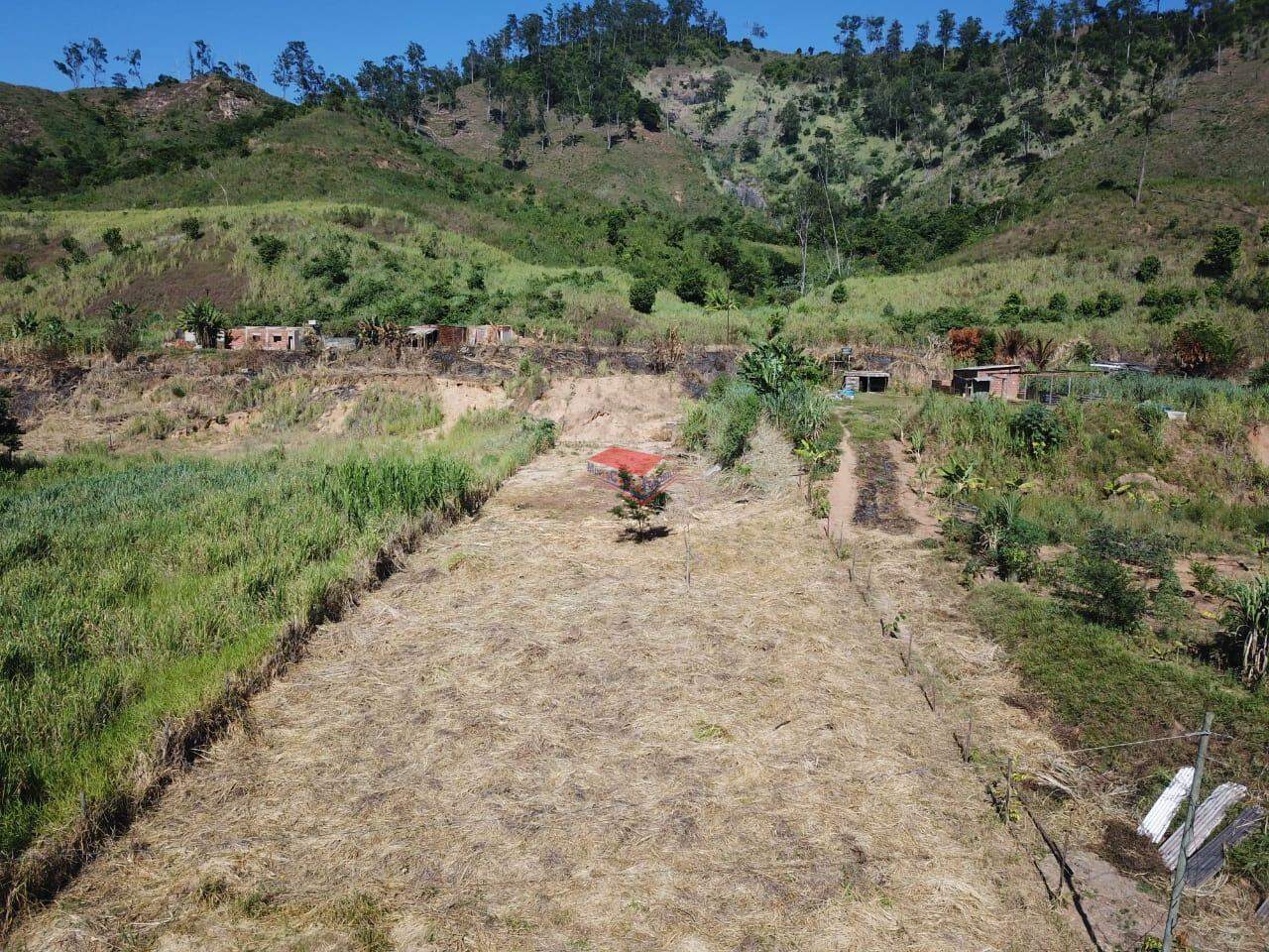 Chácara à venda com 1 quarto, 2000m² - Foto 3